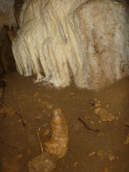 Grotte Murée du 01.11.2013 (19).JPG