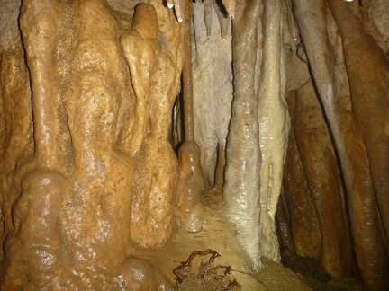 Grotte Murée du 01.11.2013 (21)