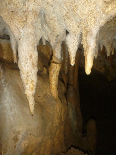 Grotte Murée du 01.11.2013 (22).JPG