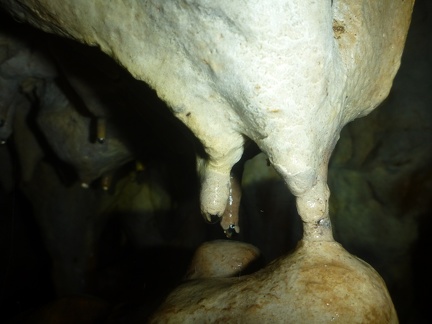 Grotte Murée du 01.11.2013 (34)