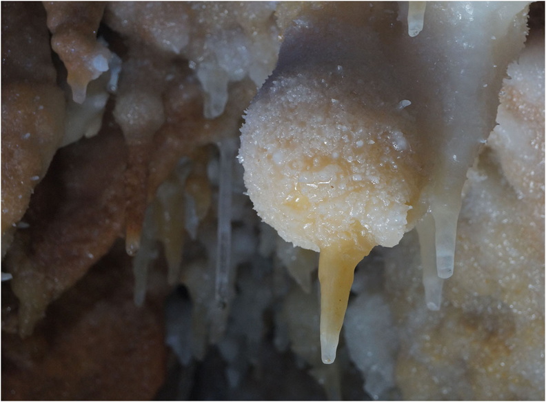 Grotte de la Toussaint Guy (4).jpg