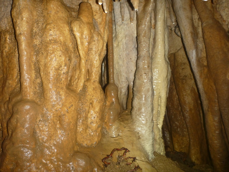 Grotte Murée du 01.11.2013 (21).JPG