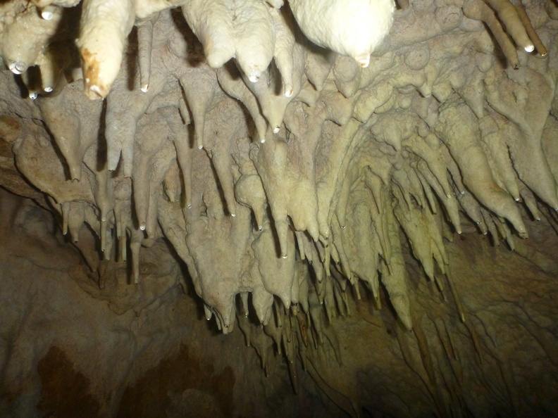 Grotte Murée du 01.11.2013 (35).JPG