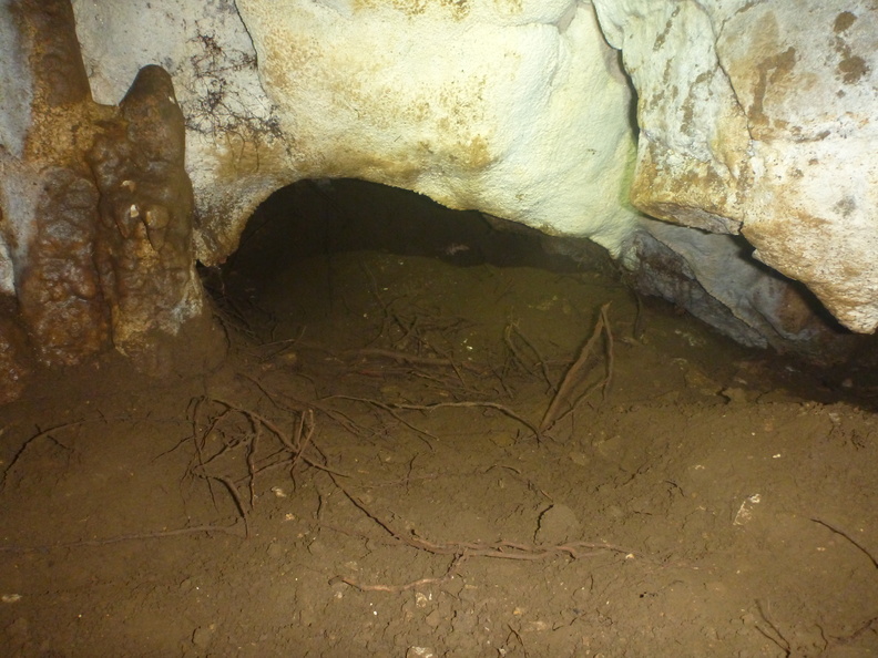 Grotte Murée du 01.11.2013 (56).JPG