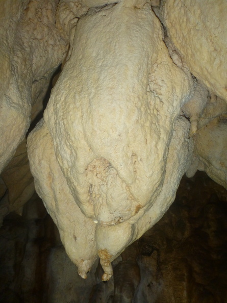 Grotte Murée du 01.11.2013 (57).JPG