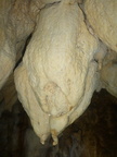 Grotte Murée du 01.11.2013 (57)