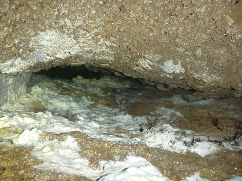 Grotte Murée du 01.11.2013 (79).JPG