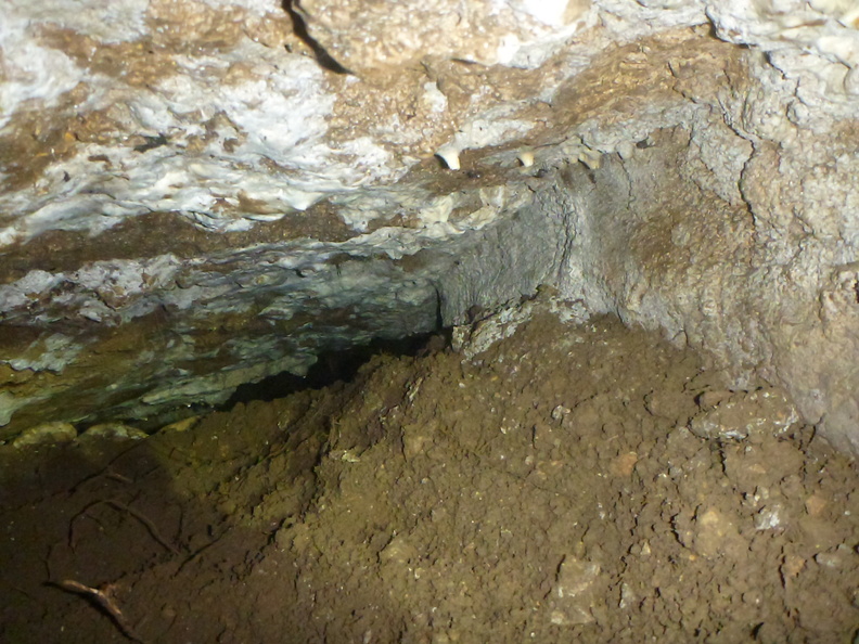 Grotte Murée du 01.11.2013 (83).JPG
