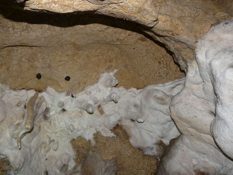 Grotte de la grande Côte n°2 (8).JPG
