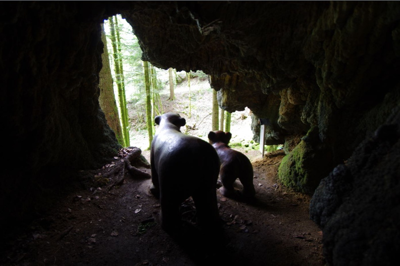 Grotte des ours dans une tuffière.JPG