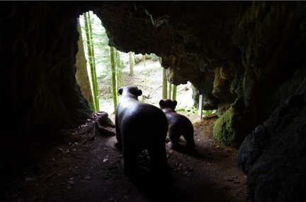Grotte des ours dans une tuffière