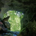 Grotte de la Pisserette Daniel (1)